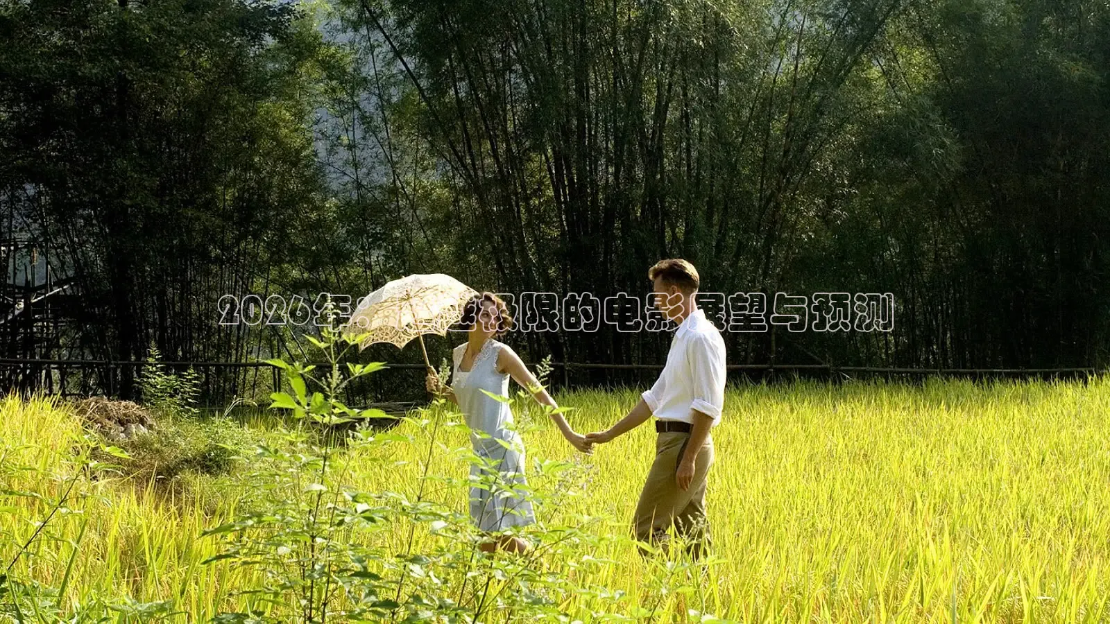 《精东影业》在线观看